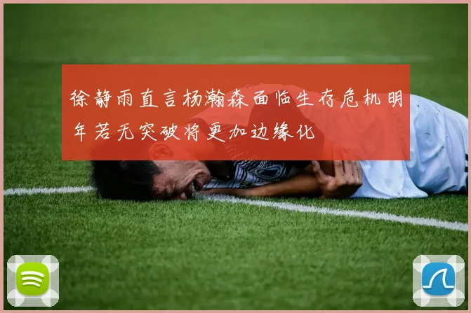徐静雨直言杨瀚森面临生存危机明年若无突破将更加边缘化