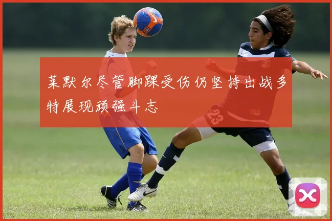 莱默尔尽管脚踝受伤仍坚持出战多特展现顽强斗志