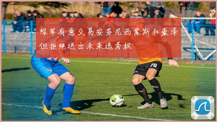 绿军有意交易安芬尼西蒙斯和豪泽但拒绝送出未来选秀权